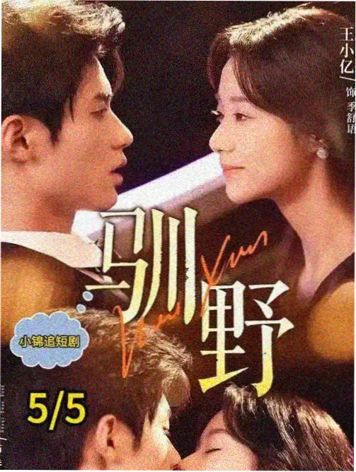 房东与租客 美国生活剧集封面